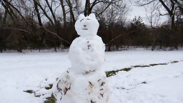 Simple Snowman _ January 2, 2021 смотреть онлайн