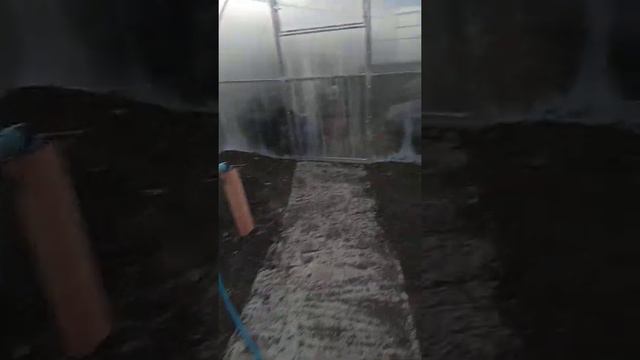Брюховецкая краснодарский край.31 декабря 2020 г. смотреть онлайн