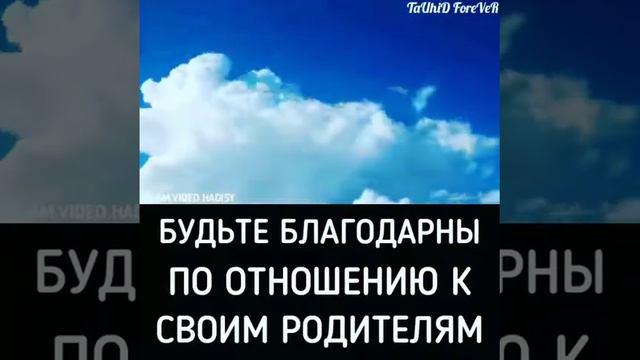 Будьте благодарны по отношению ко своим родителям смотреть онлайн