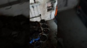 Котёл магнум 30 килловат отзыв честный,из сибири!