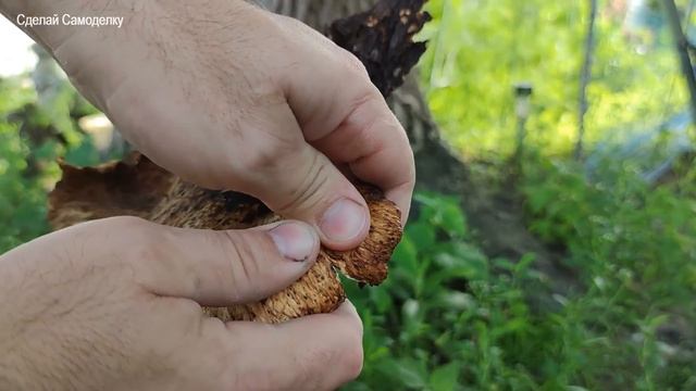 Стройка Проект