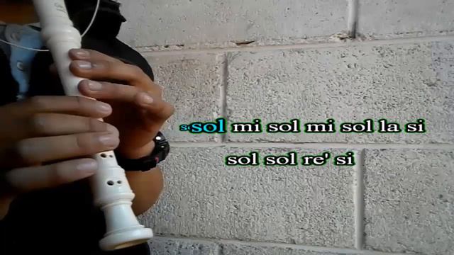 Alan Walker - Faded (FLAUTA CON NOTAS) смотреть онлайн