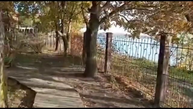 Отдых, рыбалка в Ростове-на-Дону х. Колузаево ул.Левобережная 28б смотреть онлайн