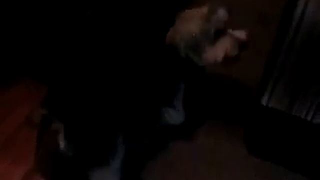 UMA IN HEAT смотреть онлайн