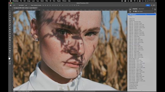 Fast Film FREE Lookup Table (LUT) - Before & After смотреть онлайн