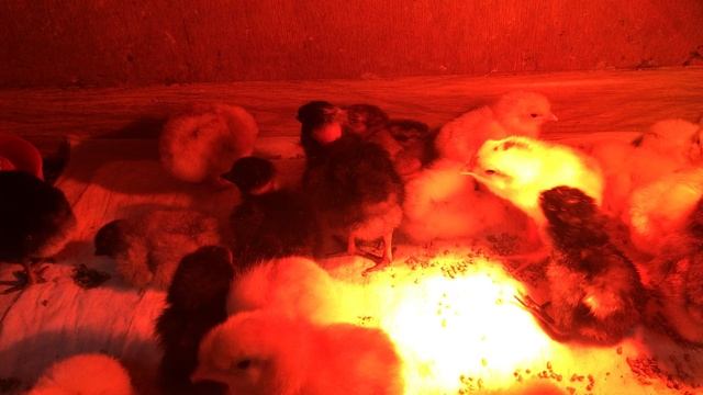 10-05-2023 смотреть онлайн