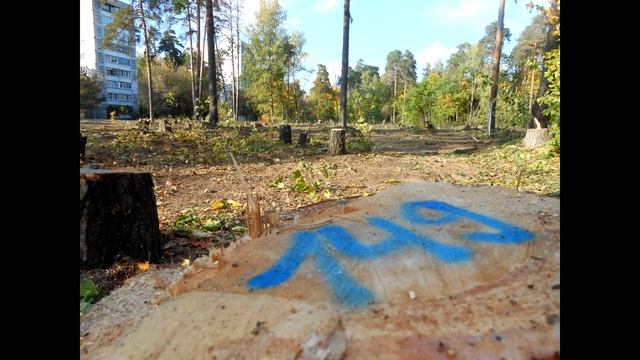 Резолютивная часть решения Московского областного суда. 22.08.16. Жуковский. Нижегородская смотреть онлайн