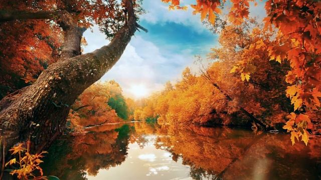 AD FREE 1 HOUR Relaxing Music for Sleep, Relaxing music for stress relief, Music for meditation. смотреть онлайн