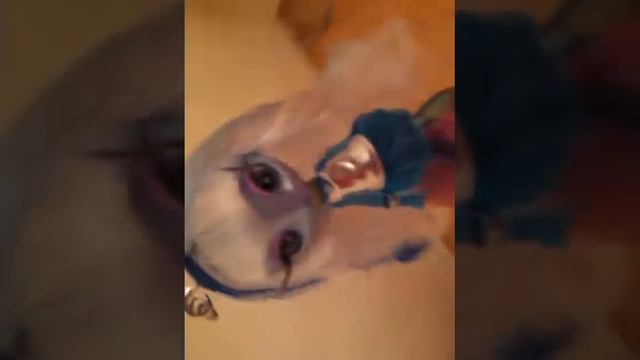 NOVI STARS NEW DOLL смотреть онлайн