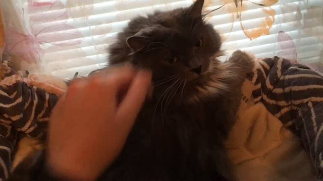 VLOG #21 Пробежка 10км и весь день смотрю сериал смотреть онлайн