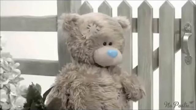 Мишка Тедди. Самая любимая. Видео для любимой. Признание в любви смотреть онлайн