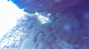 Подводная охота в Тихом Океане