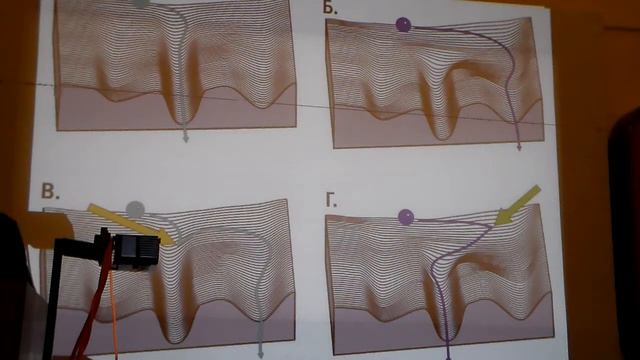 Эпигенетическая теория эволюции. Часть 2. смотреть онлайн