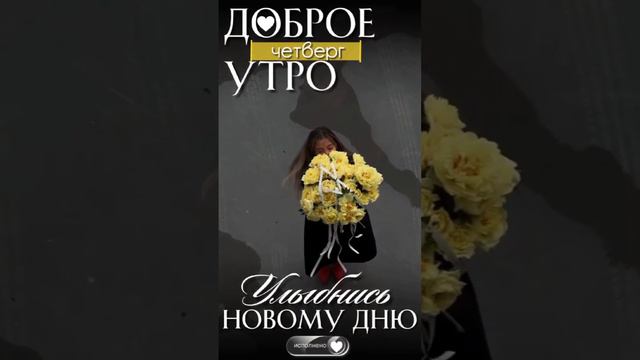 Четверг смотреть онлайн
