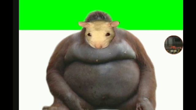 Птица корица мышка мартышка дак кадилак кот рот