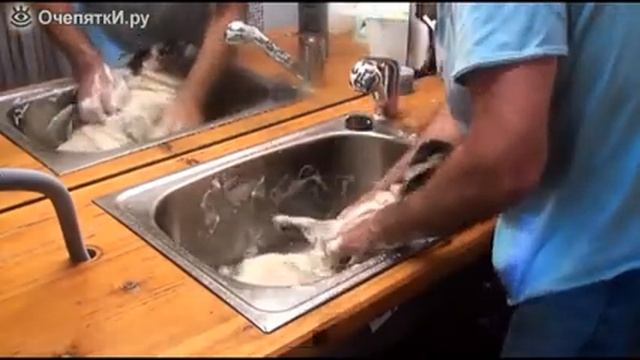 Купание мопса смотреть онлайн