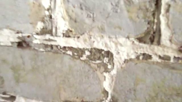 соль из стены смотреть онлайн