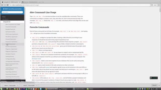 DDEV für TYPO3 einrichten - so geht's смотреть онлайн