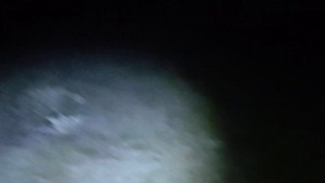 Встреча с бродячими собаками.Питомник Волкодавы 05. смотреть онлайн