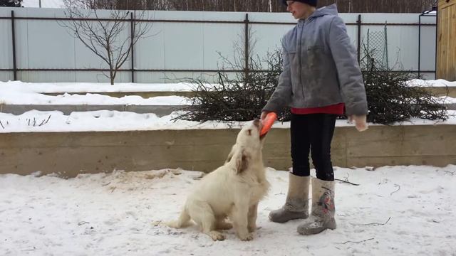 IMG 1076 смотреть онлайн