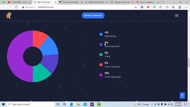 🔥BABYFLOKISHIB New Best Token Project Review | TOKEN FAIR LAUNCH IN? | Launching Without ICO 🤑💰
