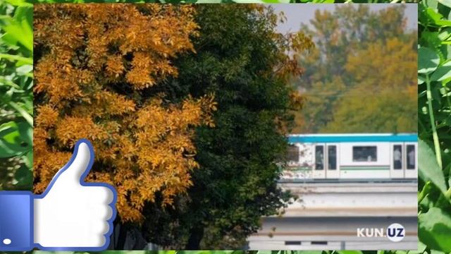 УЗБ- ДА ХОЗИР ЕЛОН КИЛИНДИ.ЕРТАДАН БОШЛАНАДИ смотреть онлайн