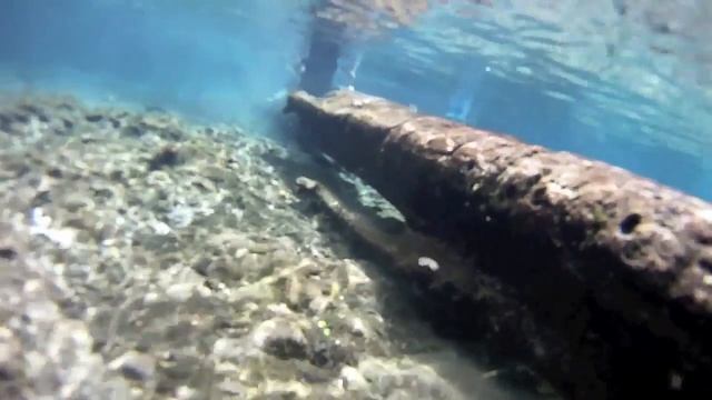 Facts: The Flounder смотреть онлайн