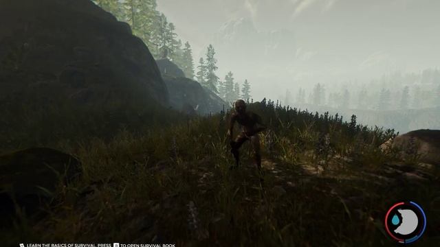 The Forest ep1/gone wrong смотреть онлайн