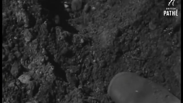 Кинохроника. Бухенвальд концлагерь (1945). Buchenwald Concentration Camp (1945)