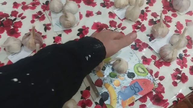 Хранение чеснока в квартире . Продолжение . Часть 2 смотреть онлайн