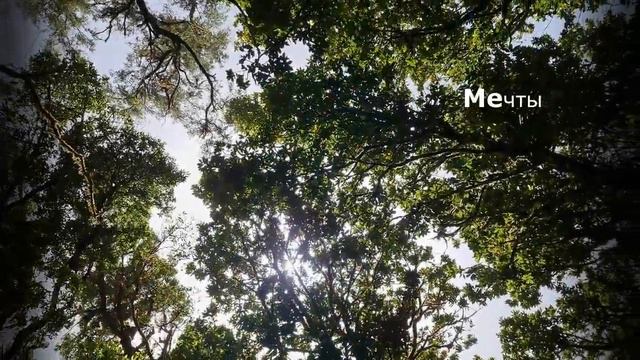 МНОГИЕ ИЗ НАС ЭТО СЛЫШАЛИ И ОТСТУПИЛИ... смотреть онлайн