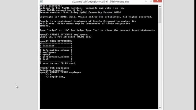 Database Basics: Setting up a Database смотреть онлайн