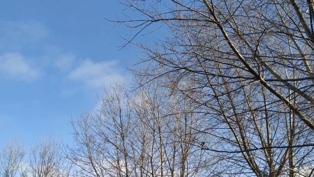 КАК ОСВЯТИТЬ СВОЙ ДОМ КРЕЩЕНСКОЙ ВОДОЙ . КРЕЩЕНИЕ ГОСПОДНЕ . народные приметы и традиции смотреть онлайн