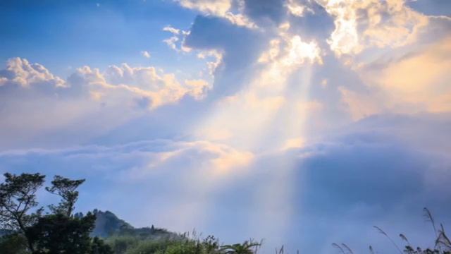 Высшая поддержка и защита Энергии Первотворца Вселенной.