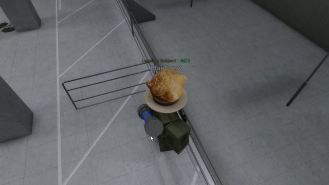 Where Has [CL] Facility Roleplay Been? (Roblox) смотреть онлайн
