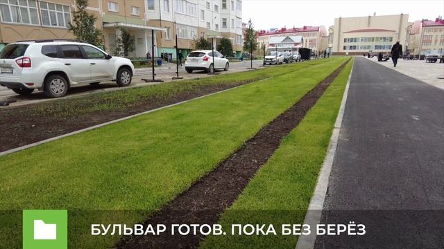 БУЛЬВАР ГОТОВ. ПОКА БЕЗ БЕРЕЗ смотреть онлайн