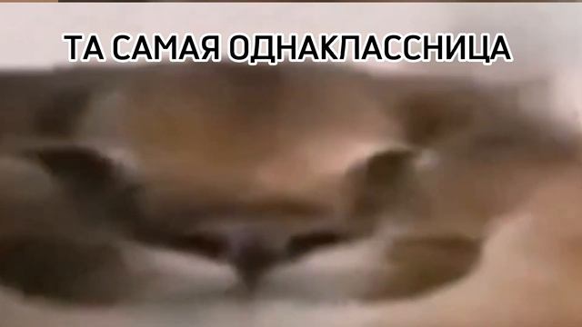 ИЗ РУССКОГО АЛФАВИТА УБИРАЮТ БУКВЫ М,Д,А Т,Р,Е,Ш: смотреть онлайн