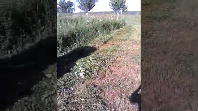 Косилка 2 часть смотреть онлайн