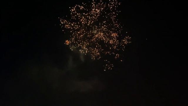 Какой Праздник без Салюта ?Медведя Митя взял его ?❄️ смотреть онлайн