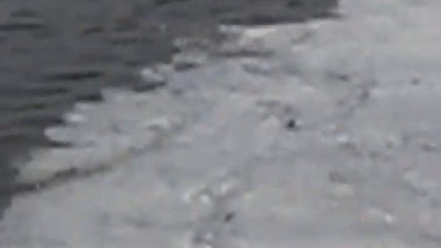 Запуск малька в Ахтырскую Дамбу смотреть онлайн