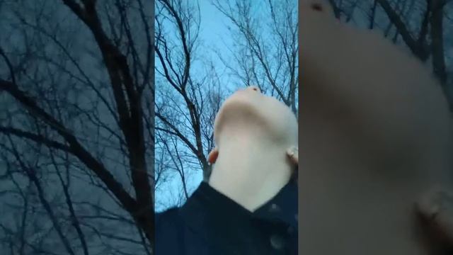 На даче ,простите что говорю тихо смотреть онлайн