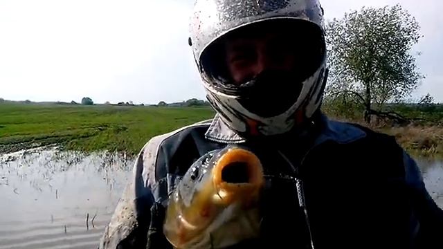 поймали рыбу руками смотреть онлайн