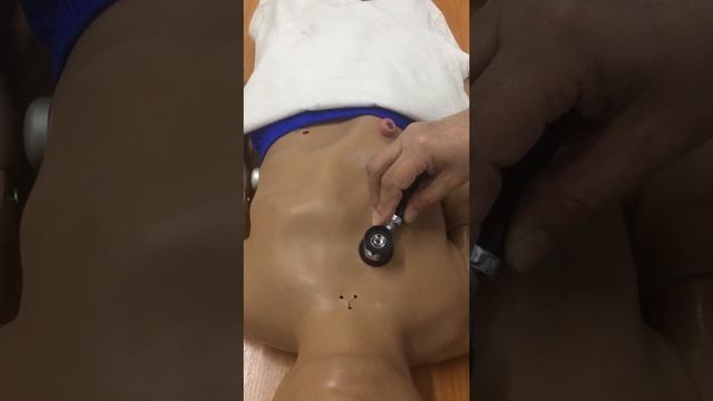 Аускультация сердца у детей 4 смотреть онлайн