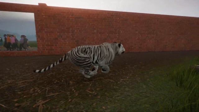 Salamol's Animals: Planet Zoo's White Bengal Tiger смотреть онлайн
