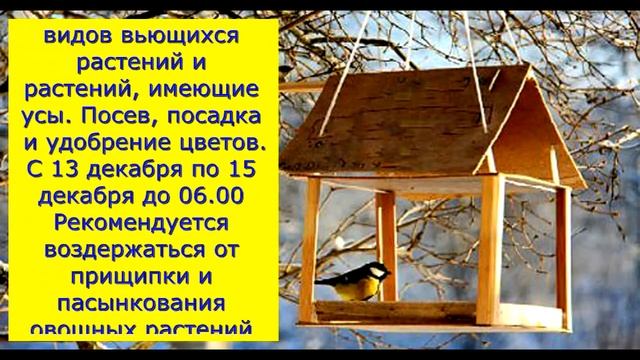 Лунный посевной календарь на декабрь 2019 год. смотреть онлайн