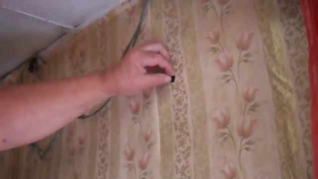 Как избавиться от ос в доме. смотреть онлайн