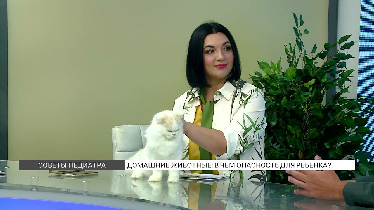 Животные в доме: польза или опасность для ребенка? смотреть онлайн