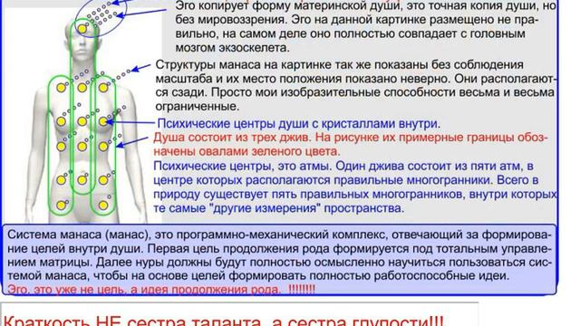 Грядущий царь Сергей-Тимур. Жизнь в космосе. Жизнь в космосе от тахиона до бога общинника коммунист смотреть онлайн