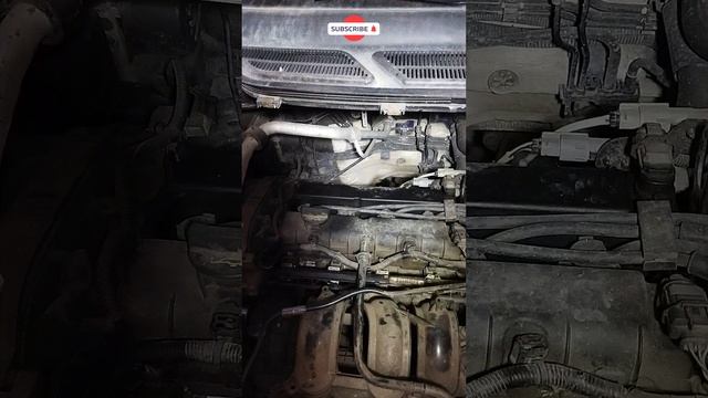 Васька ремонтный кот #shorts смотреть онлайн