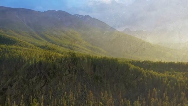 " Танец воли на просторе" . Стихи Яны Басист. смотреть онлайн